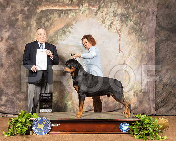 Rottweiler #5 Sat G4 Judge Dr Donald Gill_SSR_0676-TXRKNA2019-HR3