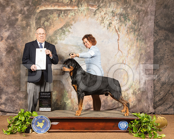 Rottweiler #5 Sat G4 Judge Dr Donald Gill_SSR_0677-TXRKNA2019-HR3