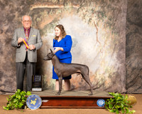 Xolo #7 Sat BOB NGrCh Judge Col Joe Purkhiser