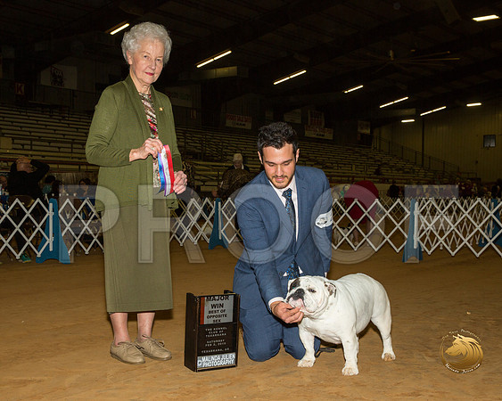 Bulldog #26 Sat BOS Maj Judge Paula Hartinger__ST_1226-TXRKNA2019-HR3