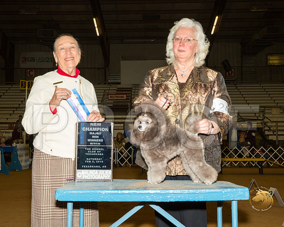 Poodle Toy #24 Sat BOW Maj NCh Judge Carolyn A Herbel__ST_1244-TXRKNA2019-HR3