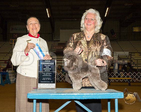 Poodle Toy #24 Sat BOW Maj NCh Judge Carolyn A Herbel__ST_1245-TXRKNA2019-HR3