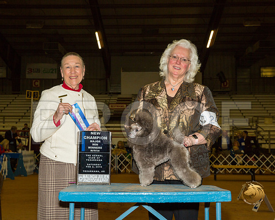 Poodle Toy #24 Sat BOW Maj NCh Judge Carolyn A Herbel__ST_1247-TXRKNA2019-HR3