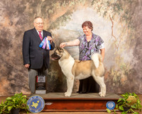 Akita #12 Sun BOS Maj Judge Dr Donald Gill