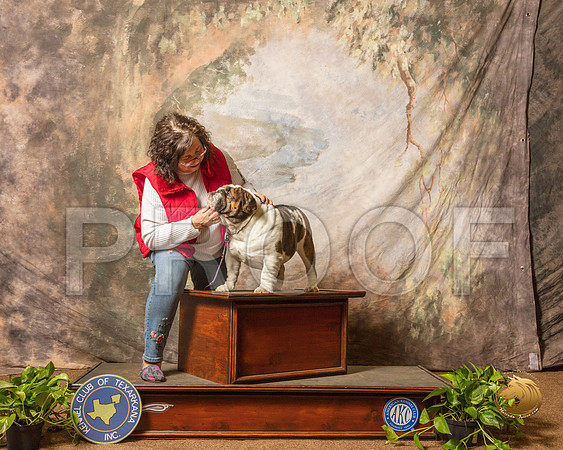 Bulldog Custom Mary Annd Grider_SSR_0713-TXRKNA2019-HR3
