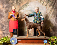 Doberman Pinscher #12 Sun NCh WB Maj Judge Carolyn A Herbel