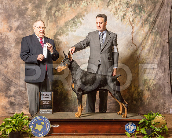 Doberman Pinscher #7 Sun SD Judge Dr Donald Gill_SSR_0720-TXRKNA2019-HR3