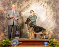 German Shepherd Dog #23 Sun BOB Judge Col Joe Purkhiser
