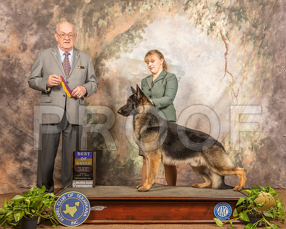 German Shepherd Dog #23 Sun BOB Judge Col Joe Purkhiser_SSR_0737-TXRKNA2019-HR3