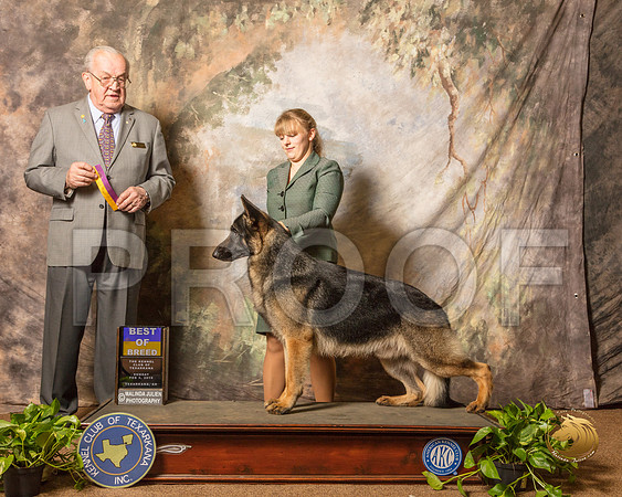German Shepherd Dog #23 Sun BOB Judge Col Joe Purkhiser_SSR_0738-TXRKNA2019-HR3