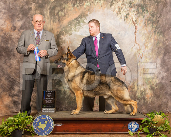 German Shepherd Dog #5 Sun BOW Judge Col Joe Purkhiser_SSR_0732-TXRKNA2019-HR3