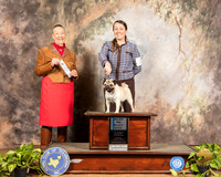 Pug #12 Sun SB Maj Judge Carolyn A Herbel