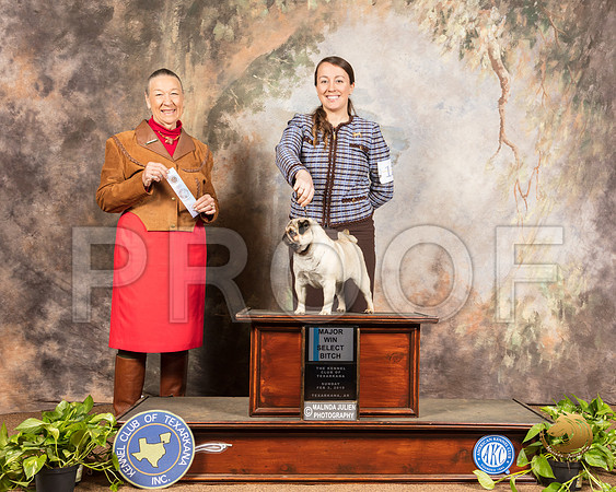 Pug #12 Sun SB Maj Judge Carolyn A Herbel_SSR_0770-TXRKNA2019-HR3