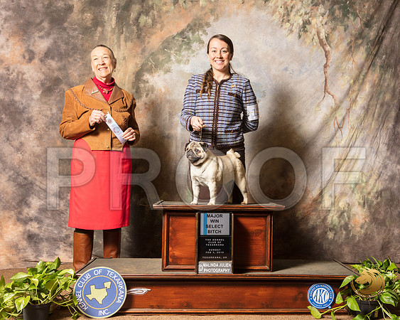 Pug #12 Sun SB Maj Judge Carolyn A Herbel_SSR_0772-TXRKNA2019-HR3