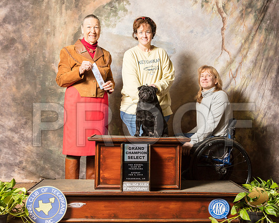 Pug #17 Sun SB GRCh Judge Carolyn A Herbel_SSR_0776-TXRKNA2019-HR3