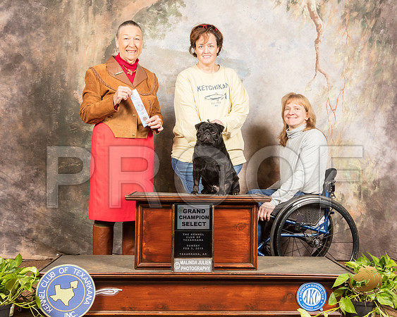 Pug #17 Sun SB GRCh Judge Carolyn A Herbel_SSR_0778-TXRKNA2019-HR3