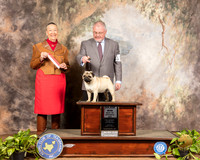 Pug #6 Sun BOS Maj Judge Carolyn A Herbel