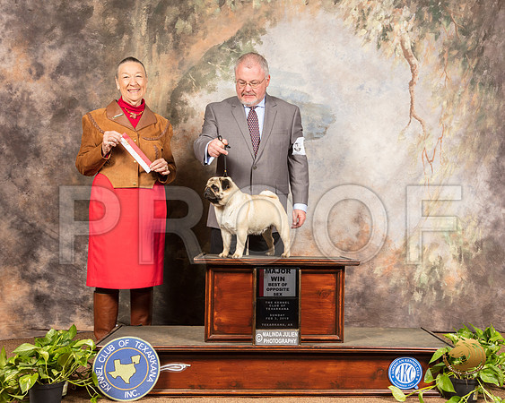 Pug #6 Sun BOS Maj Judge Carolyn A Herbel_SSR_0762-TXRKNA2019-HR3
