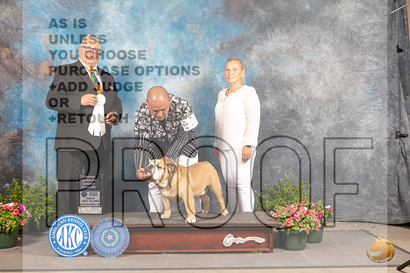 Bulldog #25 Fri OHG4 Judge John Booth_MJ_0002_SA_2022_HR3