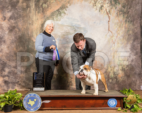 Bulldog Sun NCh BOW Judge Gloria Kerr_SSR_0811-TXRKNA2019-HR3