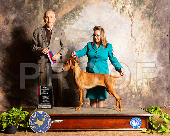 Vizsla #8 Sun BOS NCh Judge Col Joe Purkhiser_SSR_0805e-TXRKNA2019-HR3
