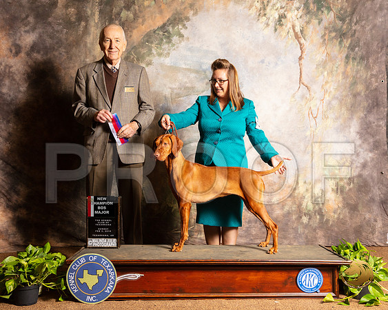 Vizsla #8 Sun BOS NCh Judge Col Joe Purkhiser_SSR_0807e-TXRKNA2019-HR3