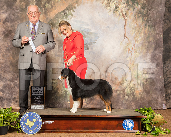 Australian Shepherd #10 Sun NGrCh Judge Col Joe Purkhiser_SSR_0927-TXRKNA2019-HR3