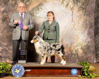 Australian Shepherd #18 Sat WB Judge Col Joe Purkhiser