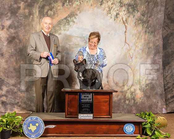 French Bulldog #27 WD BOW Maj Judge Roger Hartinger_SSR_0888-TXRKNA2019-HR3