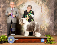 Old English Sheepdog #18 Sun WB Judge Col Joe Purkhiser