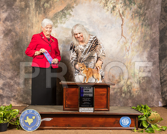Chihuahua Long #19 WD Maj Judge Murrel Purkhiser_SSR_0980-TXRKNA2019-HR3