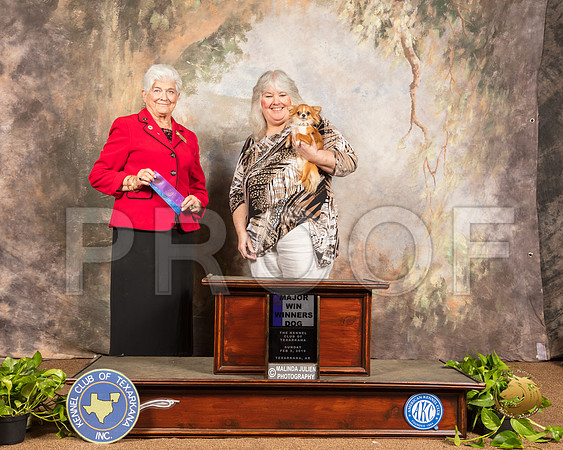 Chihuahua Long #19 WD Maj Judge Murrel Purkhiser_SSR_0981-TXRKNA2019-HR3