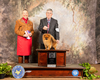 Pomerian #5 Sun BOS Judge Carolyn Herbel