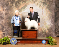 American Eskimo #5 Sat G1 Judge Gloria Kerr