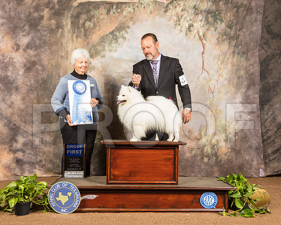 American Eskimo #5 Sat G1 Judge Gloria Kerr_SSR_1066-TXRKNA2019-HR3
