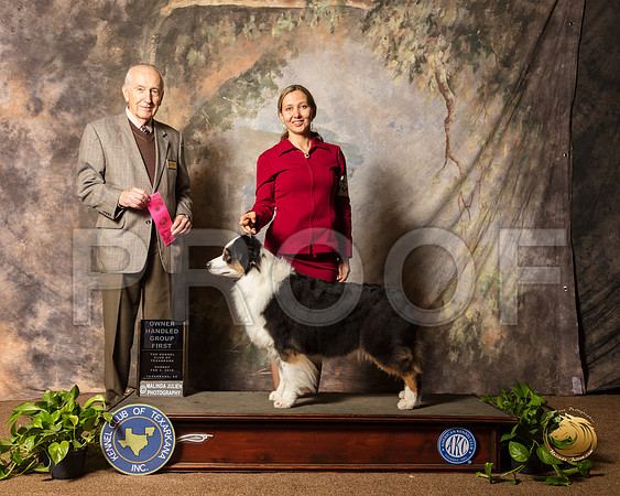 Australian Shepherd #14 Sun OHG1 Judge Roger Hartinger_SSR_1169-TXRKNA2019-HR3