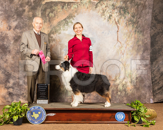Australian Shepherd #14 Sun OHG1 Judge Roger Hartinger_SSR_1171-TXRKNA2019-HR3