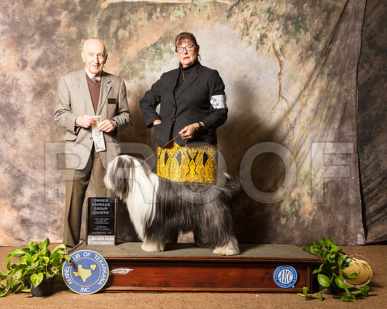 Bearded Collie #6 Sun OHG4 Judge Roger Hartinger_SSR_1176-TXRKNA2019-HR3