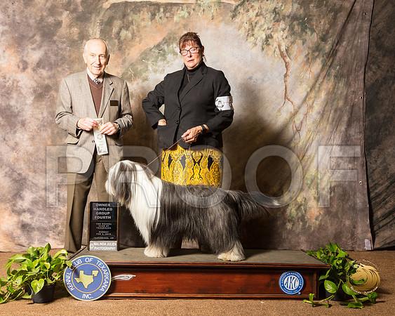 Bearded Collie #6 Sun OHG4 Judge Roger Hartinger_SSR_1177-TXRKNA2019-HR3