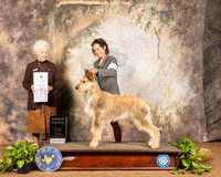 Berger Picard #6 Sun G4 Judge Paula Hartinger