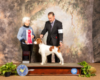 Brittany #7 Sun G2 Judge Gloria Kerr