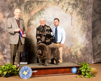 Chow #10 Sun Bos Judge Roger Hartinger