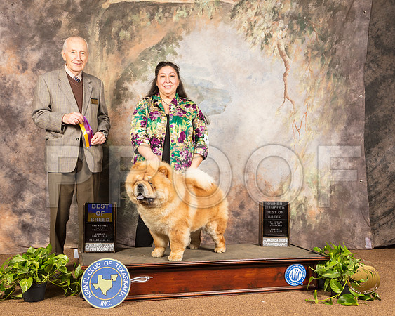 Chow #5 Sun BOB OHBOB Judge Roger Hartinger_SSR_1124-TXRKNA2019-HR3