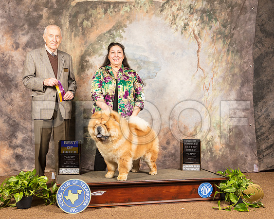 Chow #5 Sun BOB OHBOB Judge Roger Hartinger_SSR_1126-TXRKNA2019-HR3