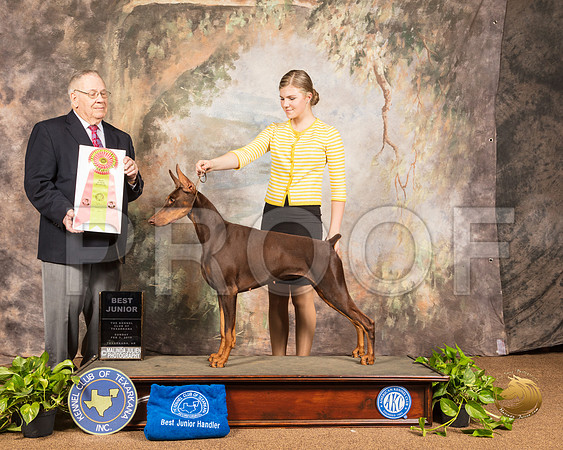 Doberman Pinscher #J603 Best jr Judge Dr Donald Gill_SSR_1151-TXRKNA2019-HR3