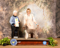 LAGOTTI ROMAGNOLI #6 Sun G2 Judge Gloria Kerr