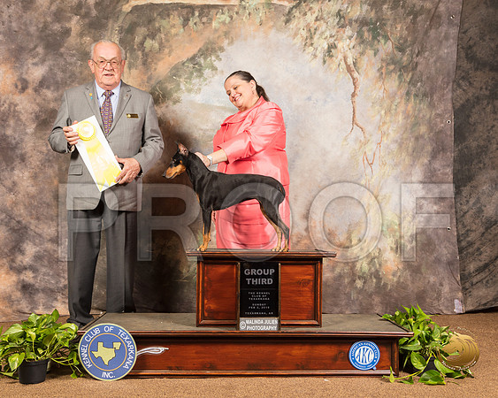Manchester Terrier #6 Sun G2 Judge Col Joe Purkhiser_SSR_1082-TXRKNA2019-HR3