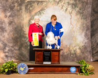 Poodle Toy #12 Sun G3 Judge Murrel Purkhiser