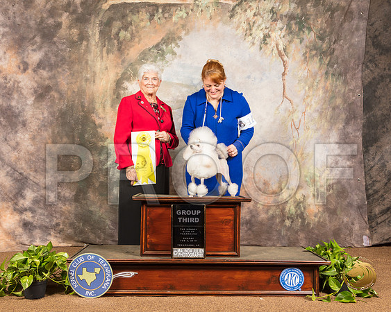 Poodle Toy #12 Sun G3 Judge Murrel Purkhiser_SSR_1106-TXRKNA2019-HR3