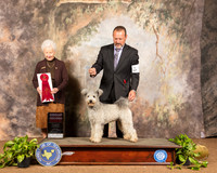 Pumi #5 Sun G2 Judge Paula Hartinger